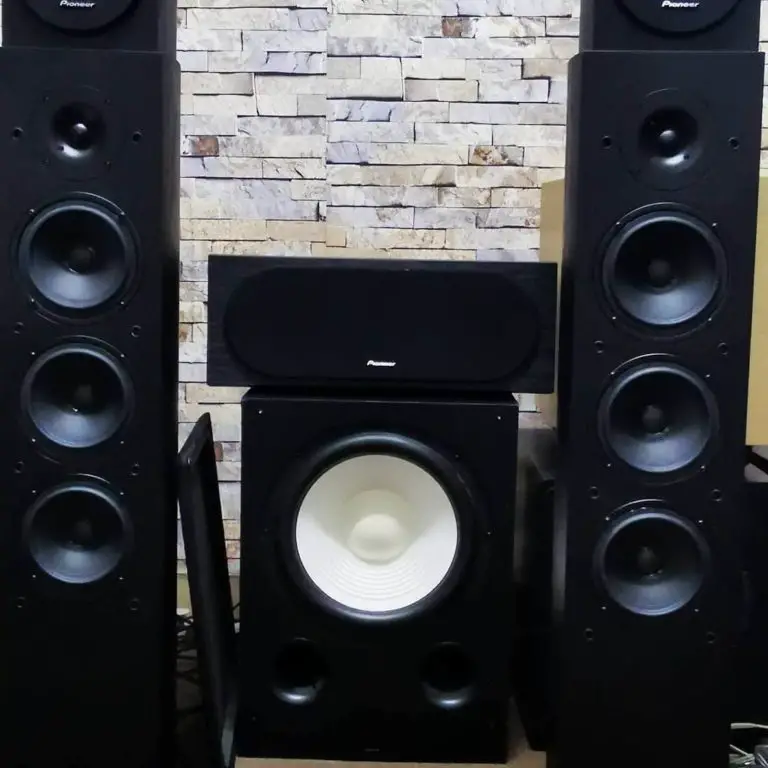 Center Channel Speaker VS Subwoofer Which One You Need? TechyConcepts