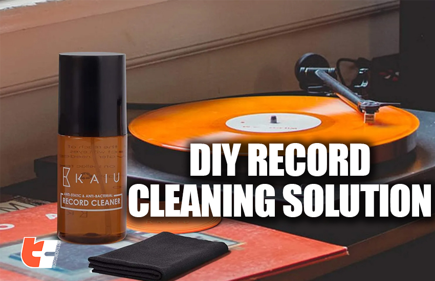 Diy record cleaning solution