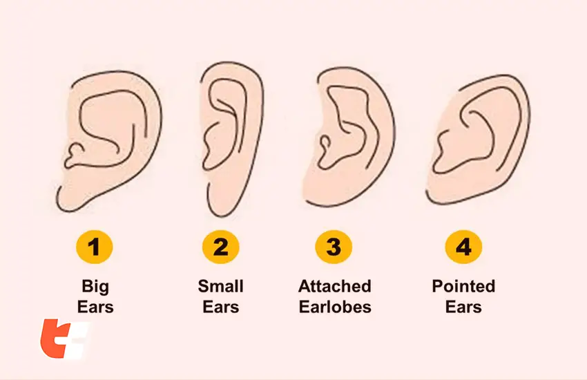 Why Do My Earbuds Keep Falling Out? Quick Fixes TechyConcepts