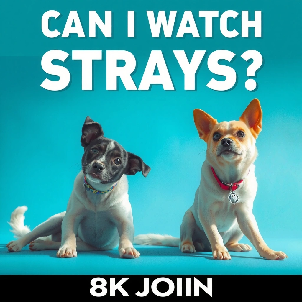 Major Streaming Services - where can i watch strays tv series